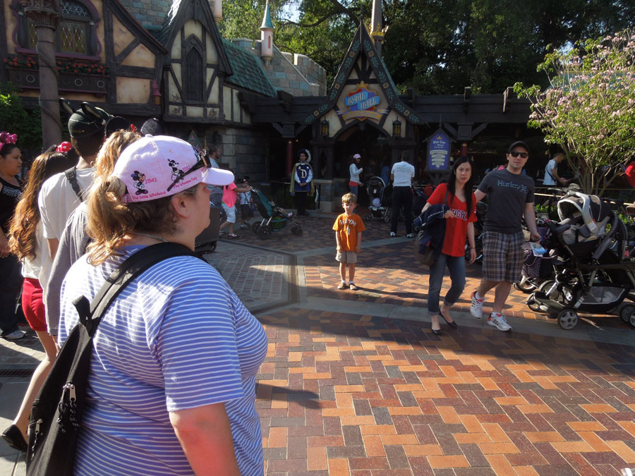 Disneyland Fantasy Faire Picture
