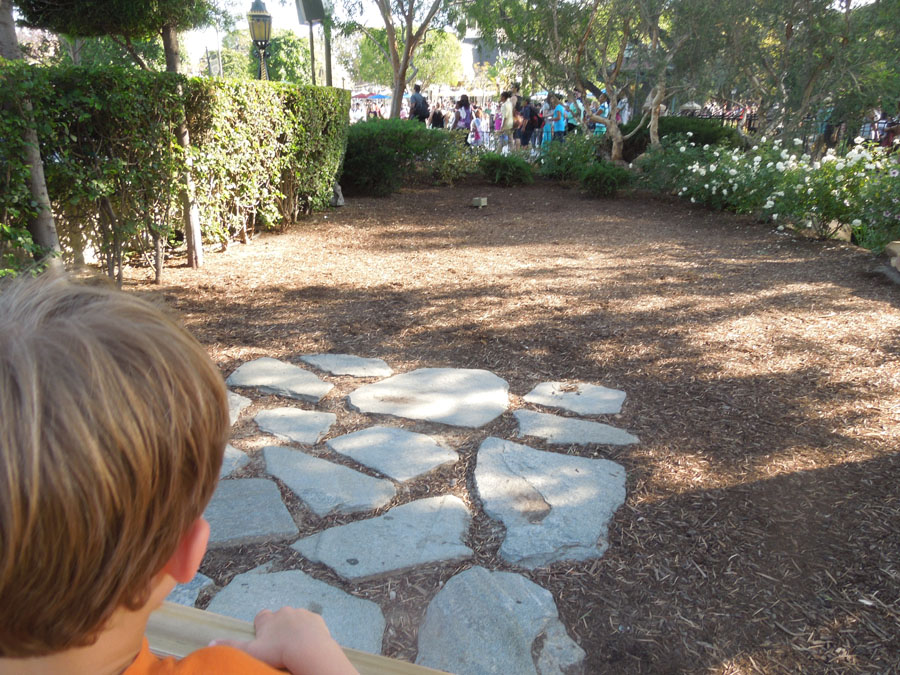 Disneyland Fantasy Faire Picture
