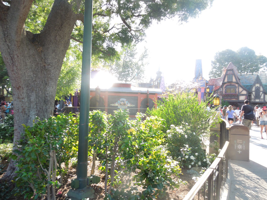 Disneyland Fantasy Faire Picture