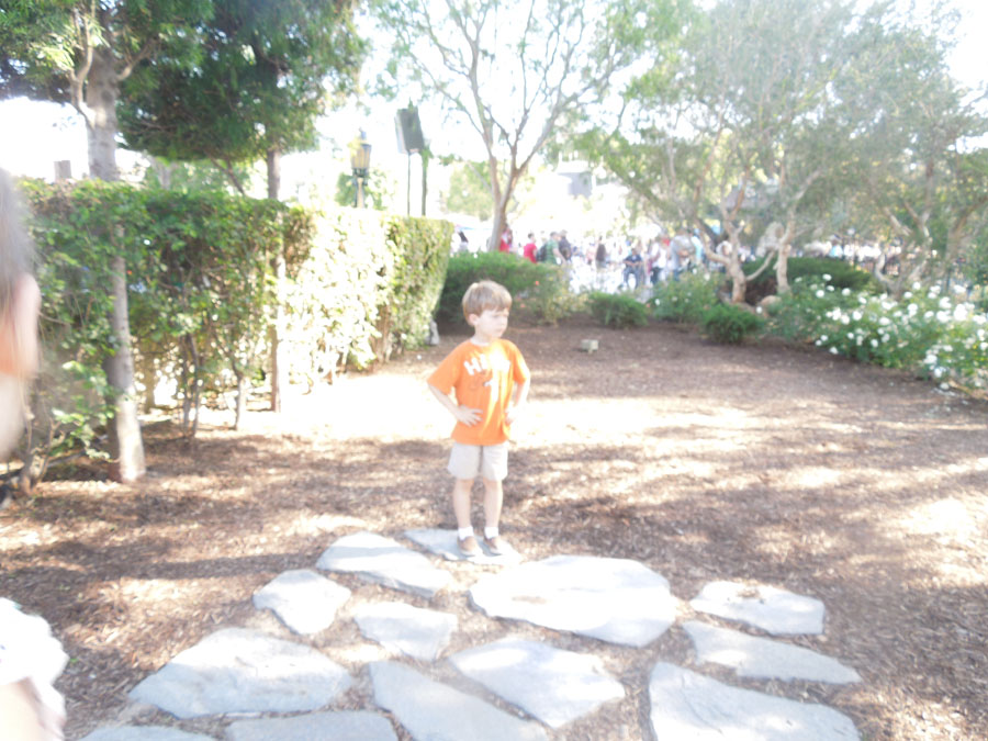 Disneyland Fantasy Faire Picture
