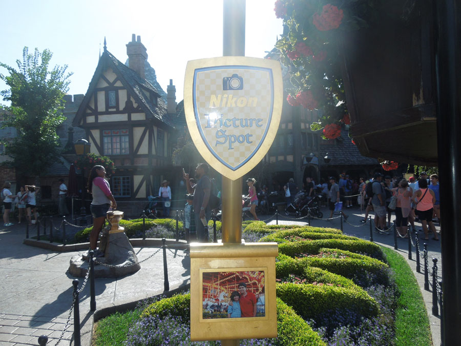 Disneyland Sword in Stone
