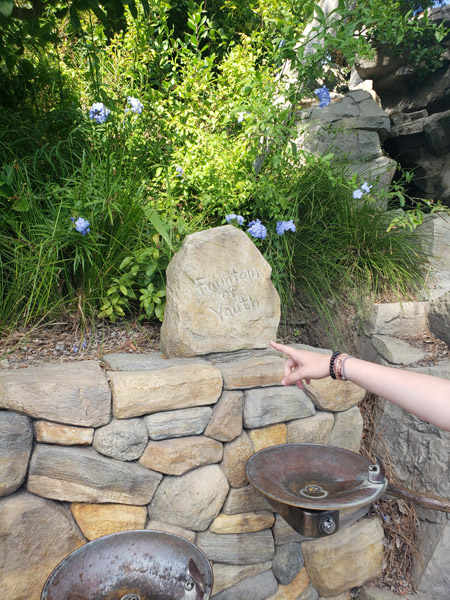 Tom Sawyer's Island in Frontierland