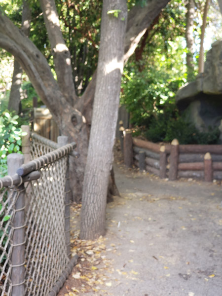 Tom Sawyer's Island in Frontierland