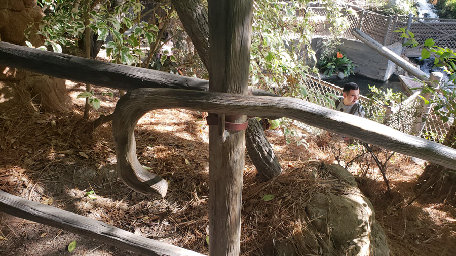 Tom Sawyer's Island in Frontierland