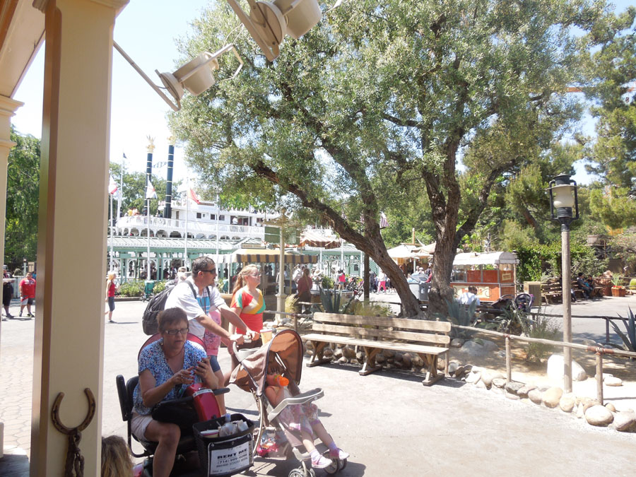 Disneyland Frontierland