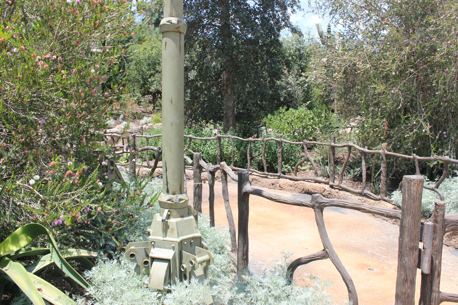 Bear exit in Galaxy's Edge
