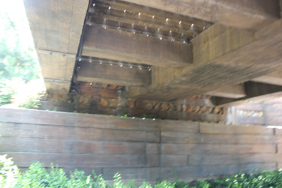 Bear exit in Galaxy's Edge