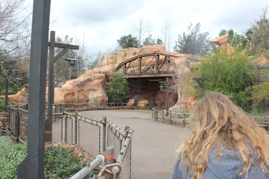 Bridge Entrance to Galaxy's Edge