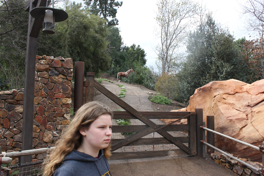 Bridge Entrance to Galaxy's Edge