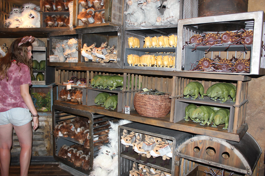 Bazaar of Shops in Galaxy's Edge