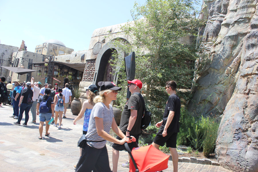 Milk Stand in Galaxy's Edge