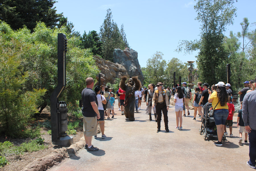 Resistance Sector in Galaxy's Edge