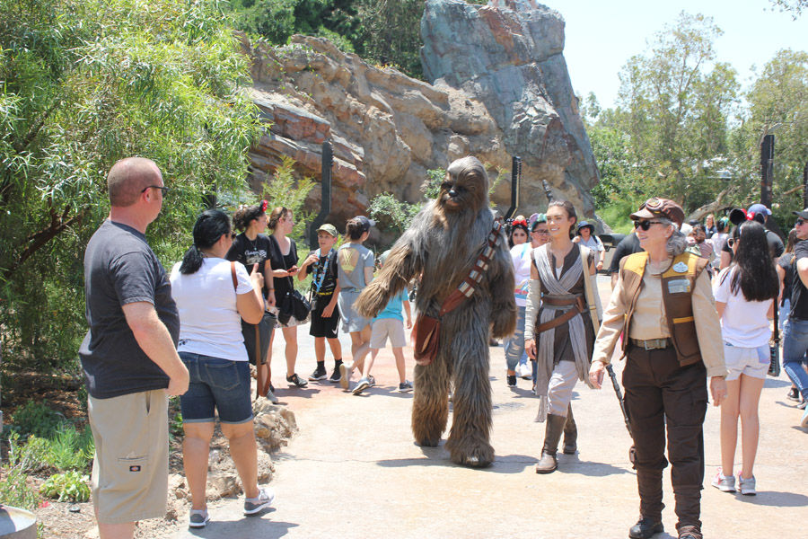 Resistance Sector in Galaxy's Edge