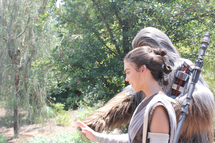 Resistance Sector in Galaxy's Edge