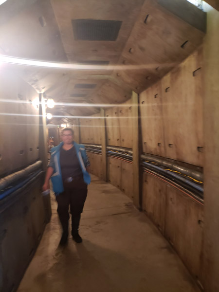 Smuggler's Run in Galaxy's Edge