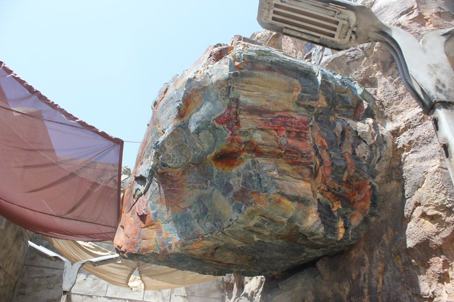 Smuggler's Run in Galaxy's Edge