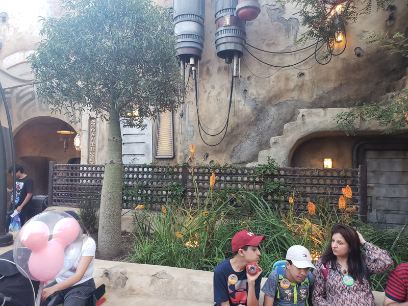 Tunnel Entrance to Galaxy's Edge