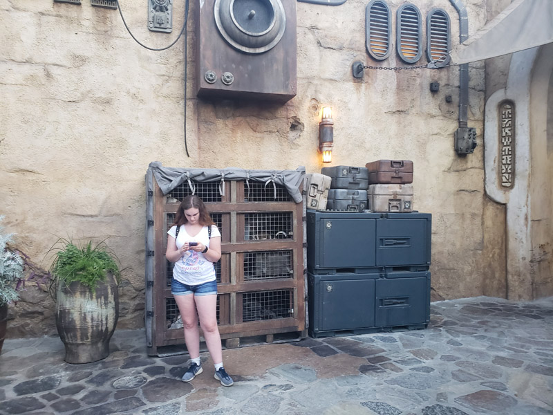 Tunnel Entrance to Galaxy's Edge