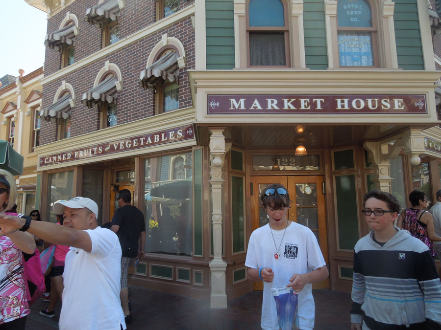 Disneyland Main Street Alley Picture