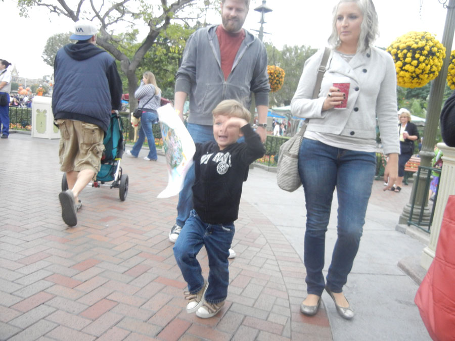 Disneyland Main Street Picture