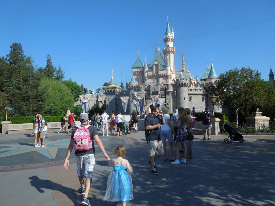 Disneyland Castle Picture