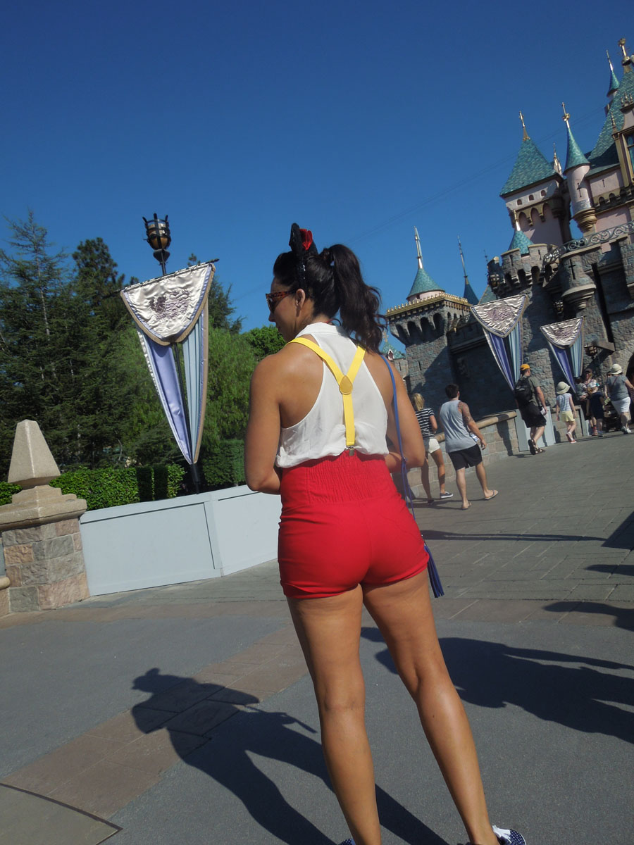 Disneyland Castle Picture