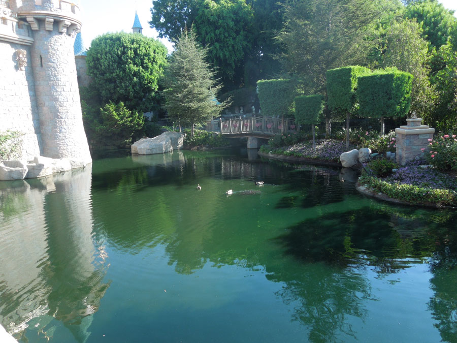 Disneyland Castle Picture