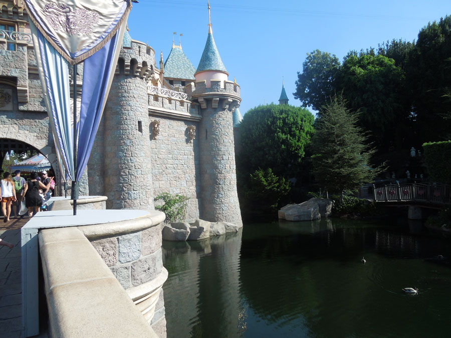 Disneyland Castle Picture