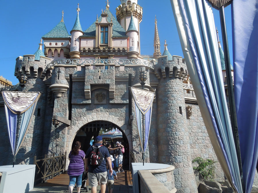 Disneyland Castle Picture