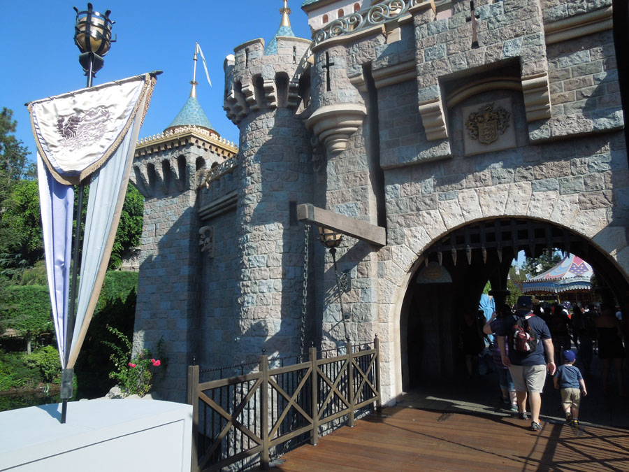 Disneyland Castle Picture