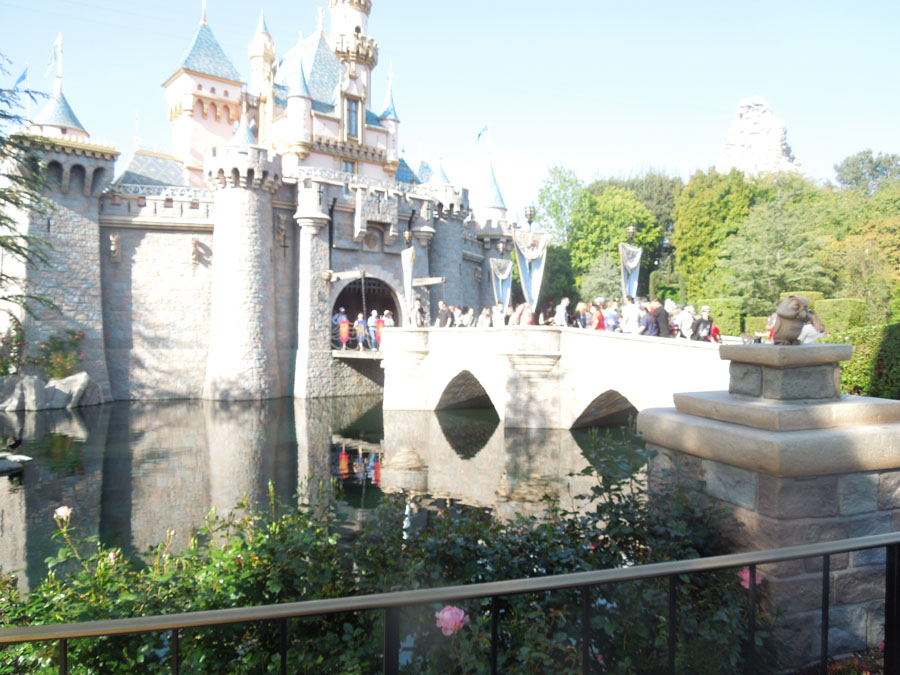 Disneyland Castle Picture