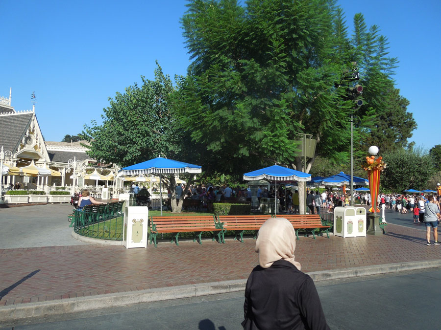 Disneyland Center Circle Picture