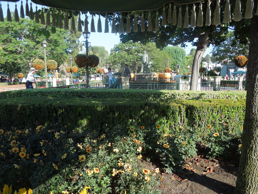 Disneyland Center Circle Picture