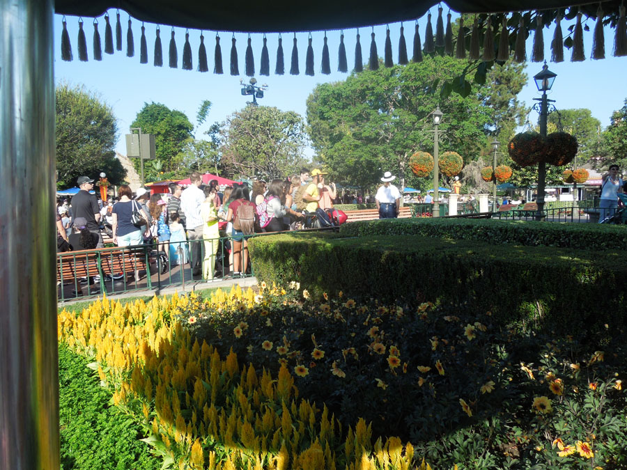 Disneyland Center Circle Picture