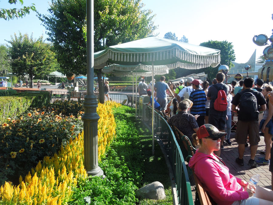 Disneyland Center Circle Picture