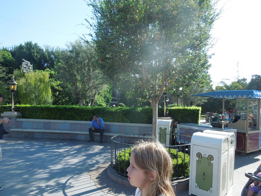 Disneyland Center Circle Picture