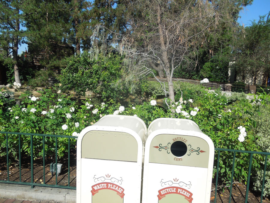 Disneyland Center Circle Picture