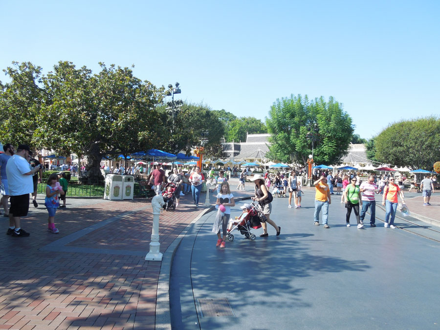 Disneyland Center Circle Picture