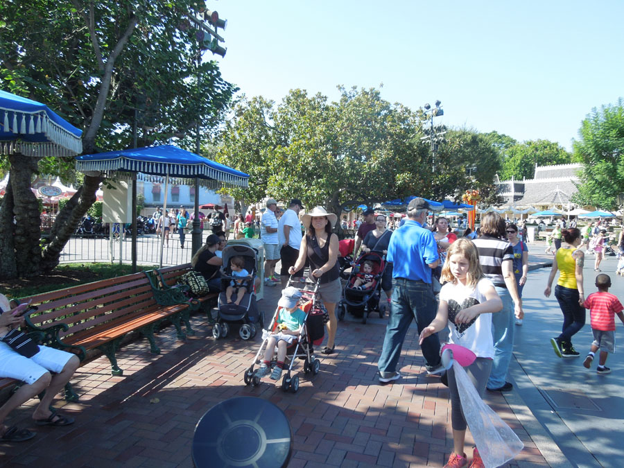 Disneyland Center Circle Picture