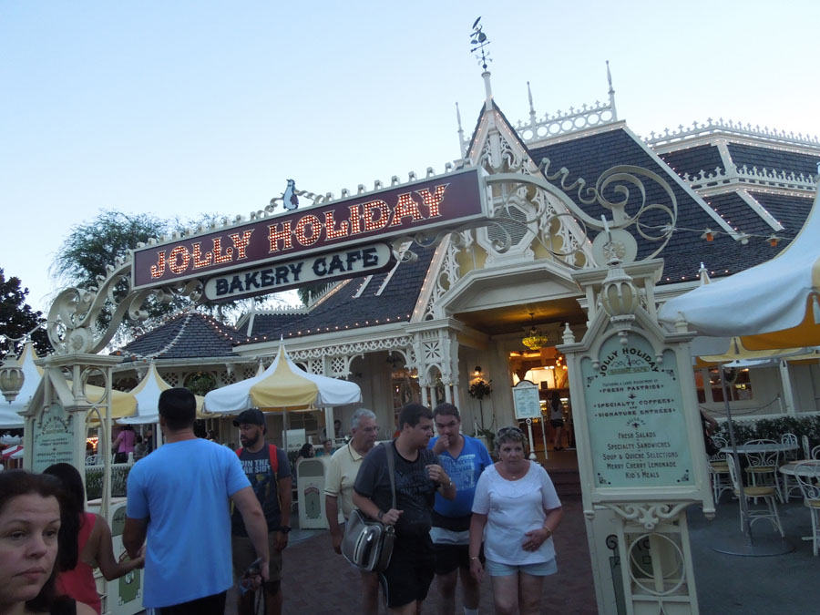 Disneyland Center Circle Picture