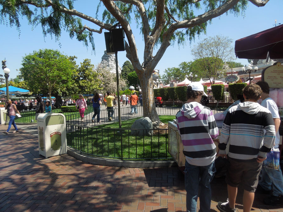 Disneyland Center Circle Picture