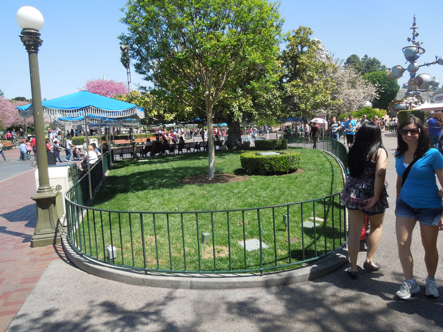 Disneyland Center Circle Picture