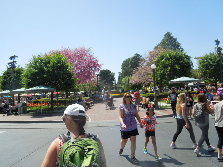 Disneyland Center Circle Picture