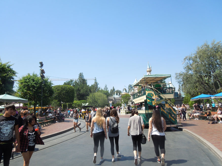 Disneyland Center Circle Picture
