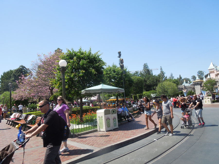 Disneyland Center Circle Picture