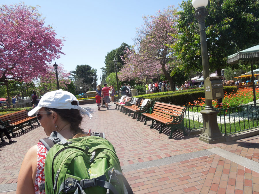 Disneyland Center Circle Picture