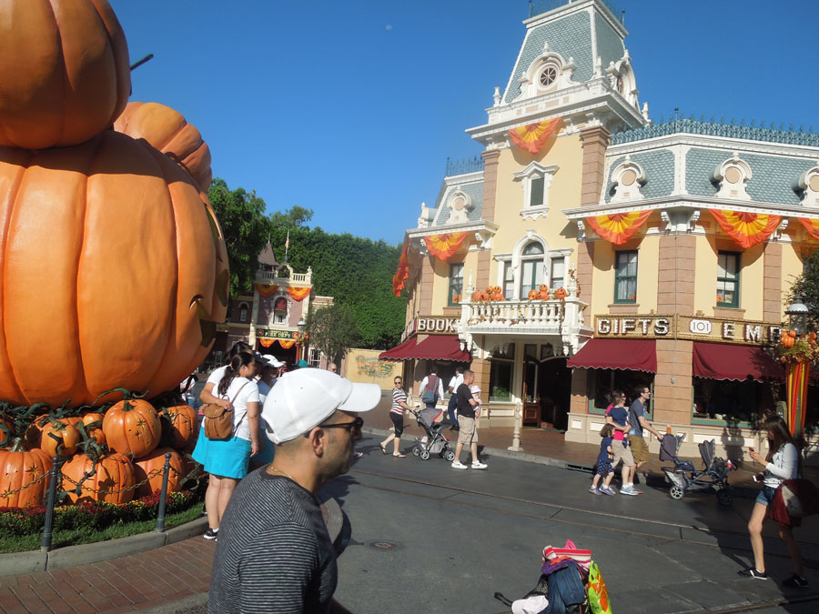 Disneyland Main Street Circle Picture