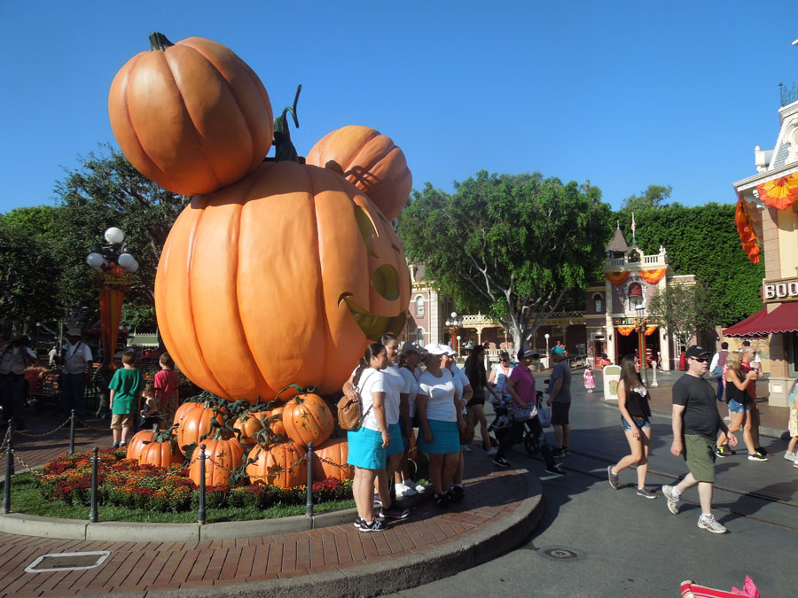 Disneyland Main Street Circle Picture