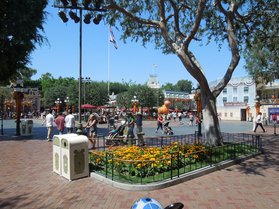 Disneyland Main Street Circle Picture
