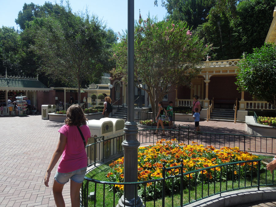 Disneyland Main Street Circle Picture